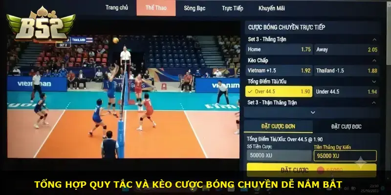 Bóng chuyền B52 CLUB - ảnh 2
