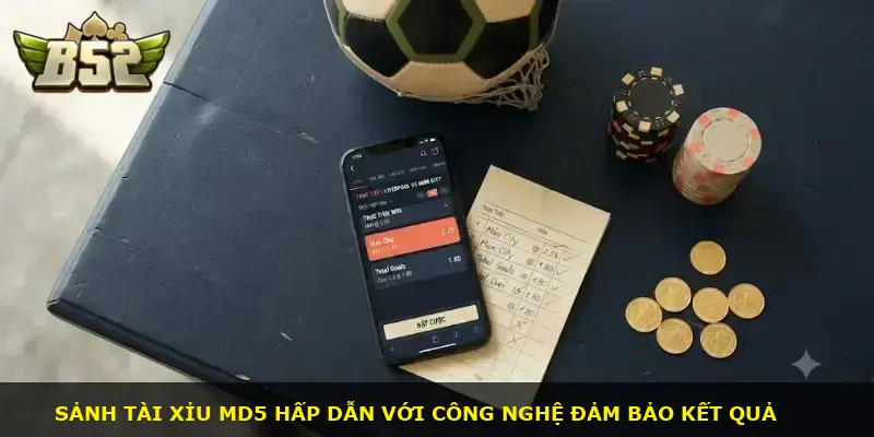 Volta MD5 B52 CLUB - ảnh 1