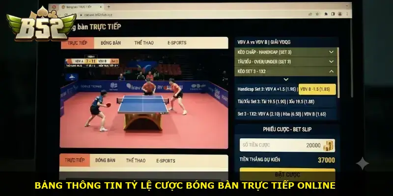 Bóng bàn B52 CLUB - ảnh 2